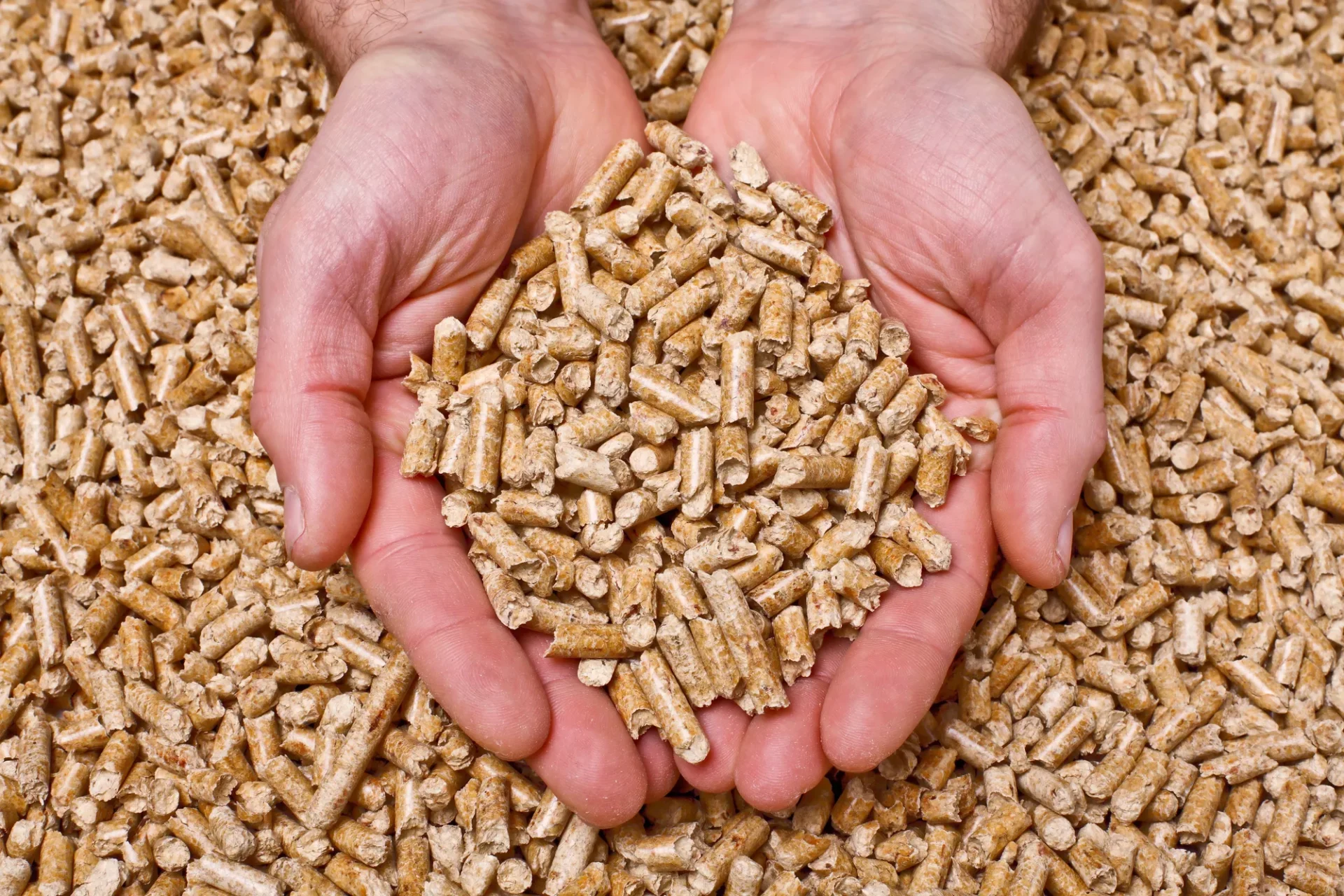 Holzpellets im Pelletheizung Lager